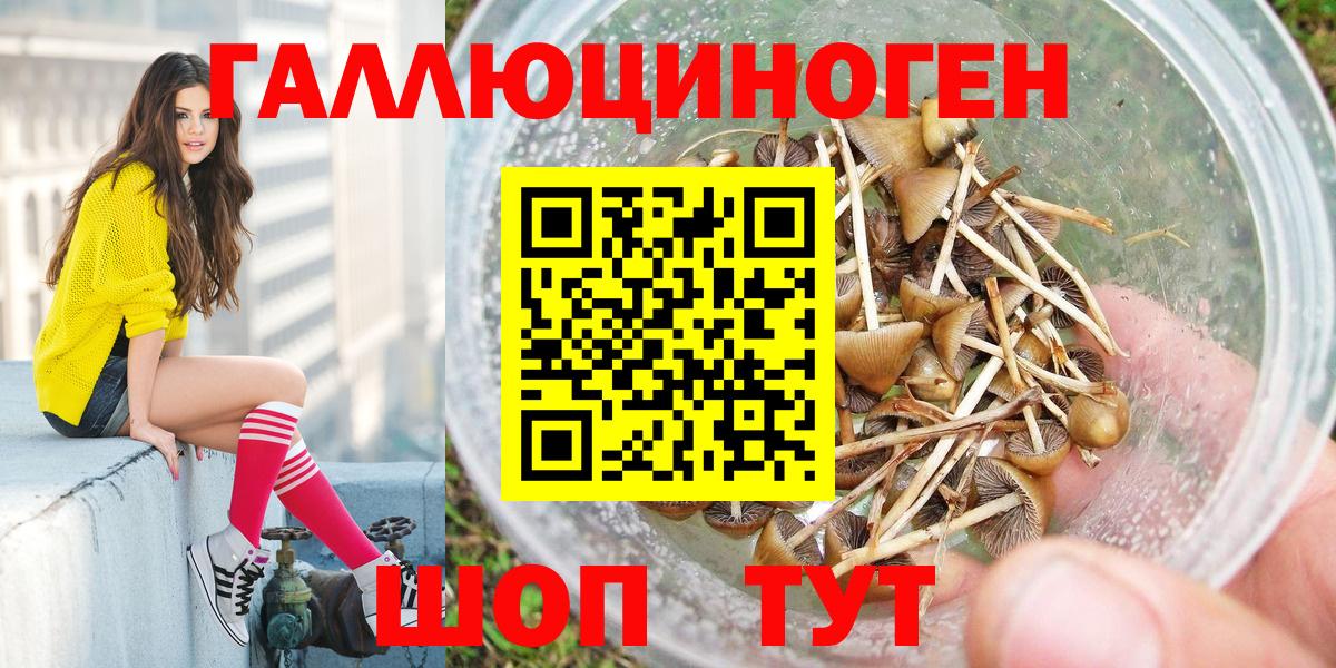 как найти закладки  Галлюциногенные грибы Psilocybe  Вход с VPN  Зима 