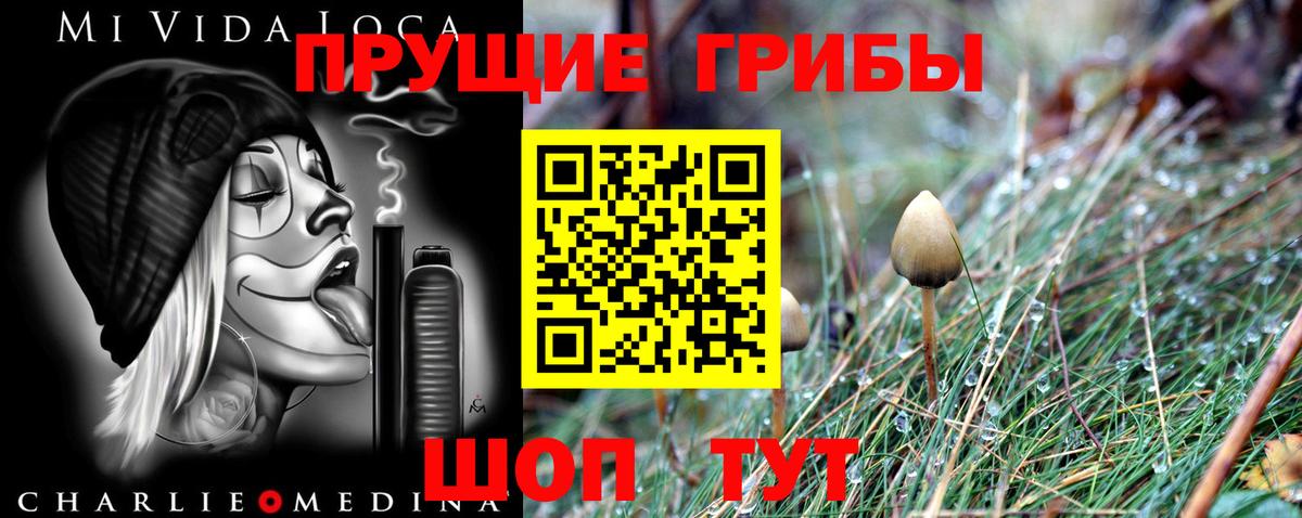 Галлюциногенные грибы прущие грибы Зима